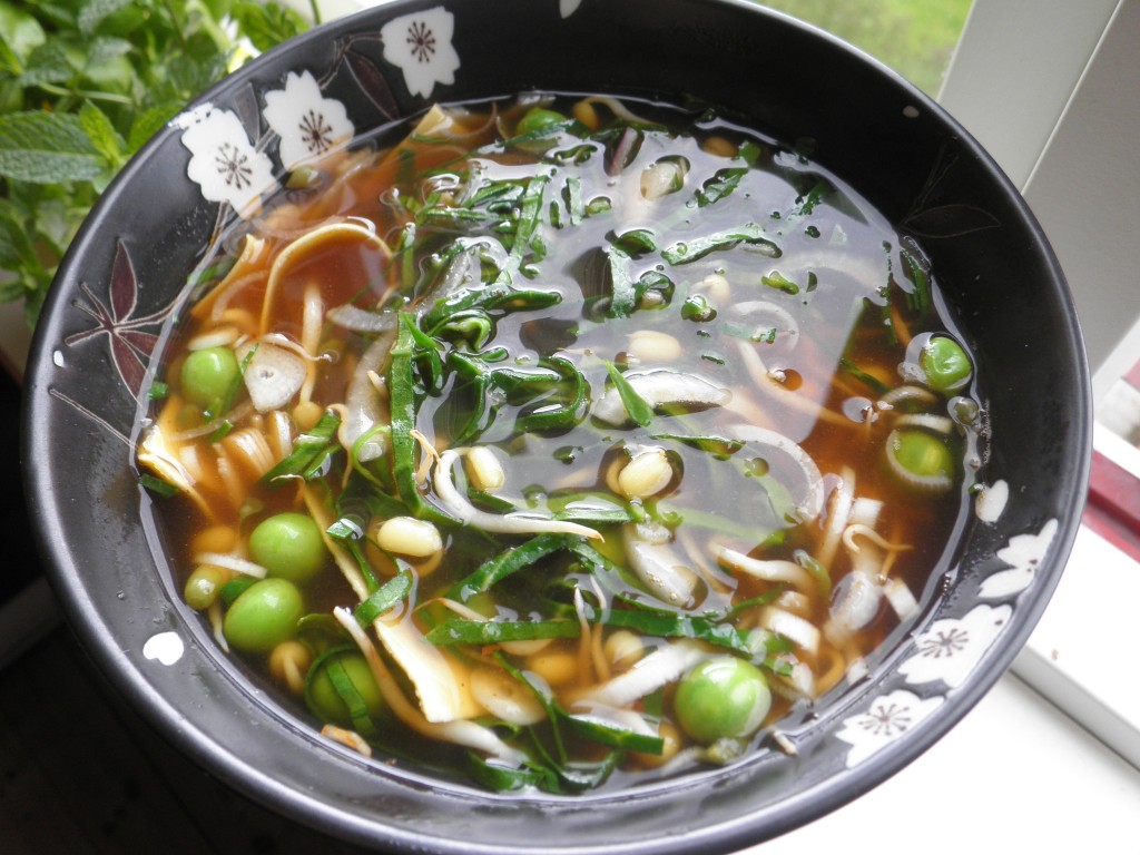 Hjemmelavet pot nudles / nudelsuppe