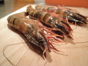 Hele tigerrejer / gambas / rejer før de bliver grillede